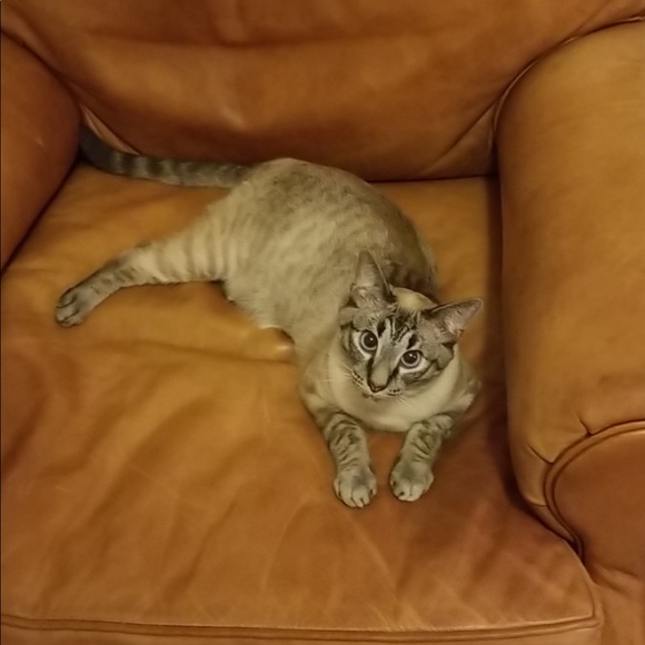 Meet Your Posher, Emily - Picture 2 of 3